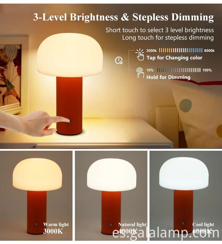 Detalle-06 Detail-06